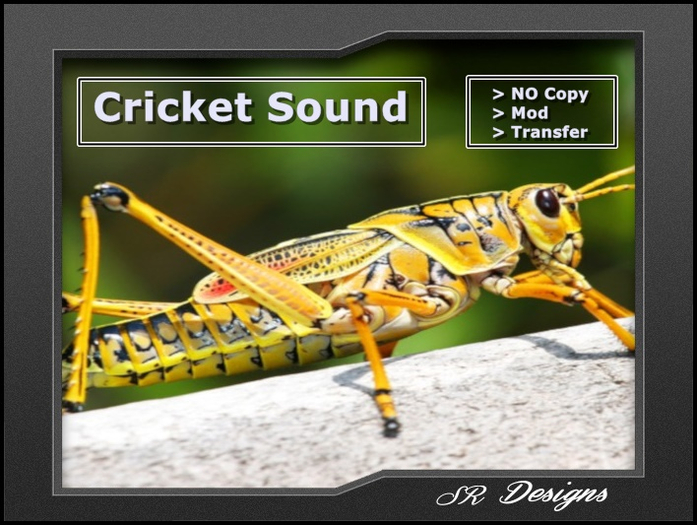 Second Life Marketplace Cricket Sound